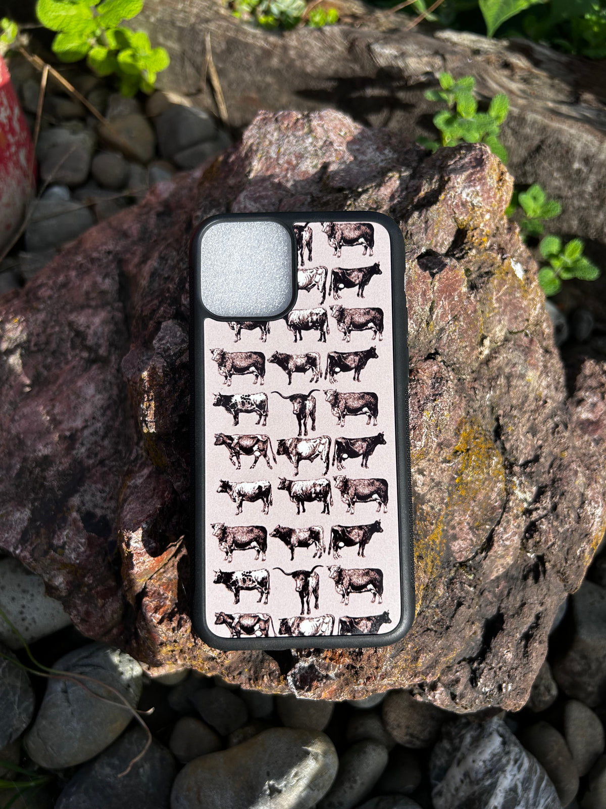 Country Phase IPhone 11 Pro Case