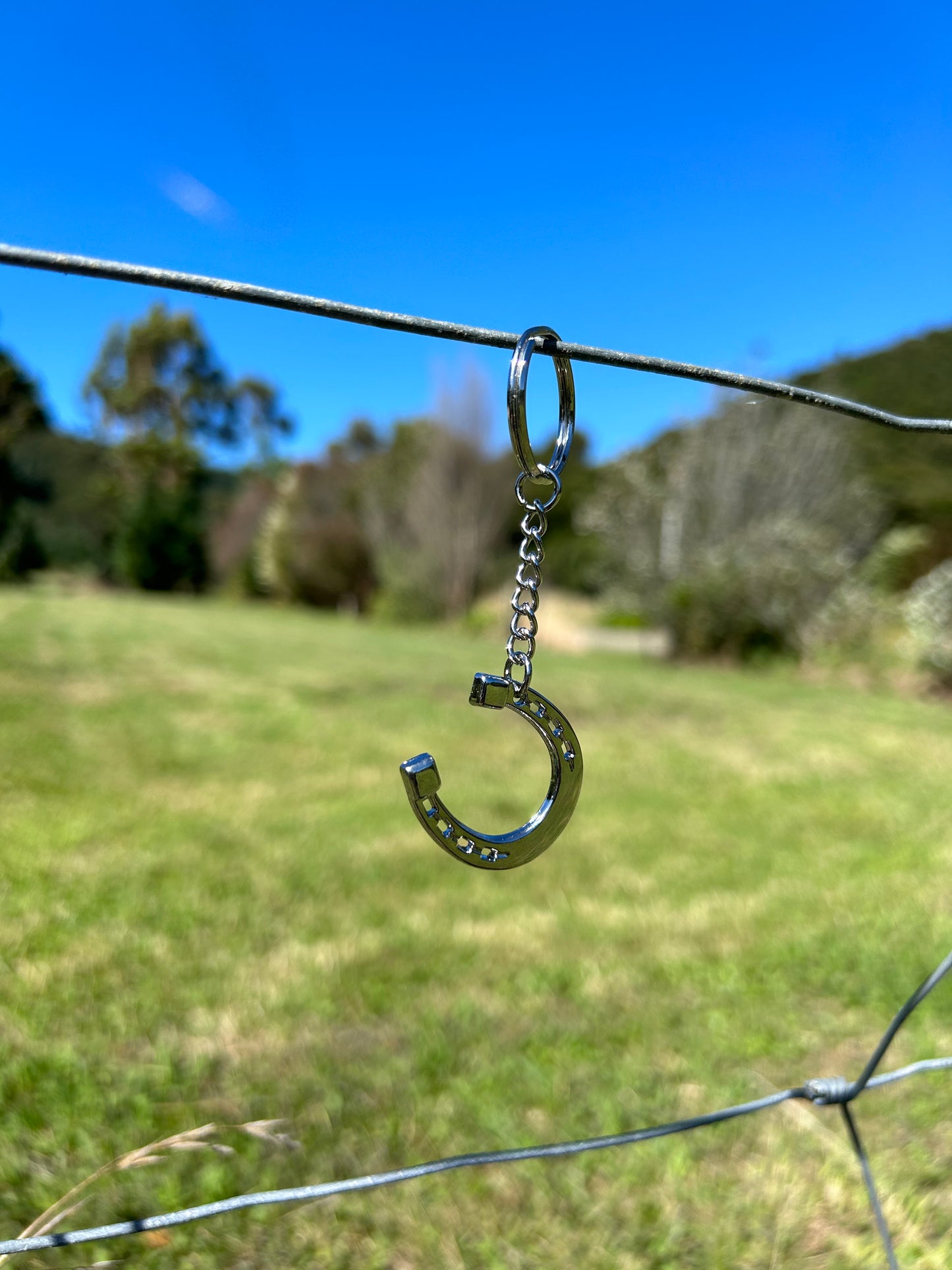 Country Phase Horse Shoe Keyring