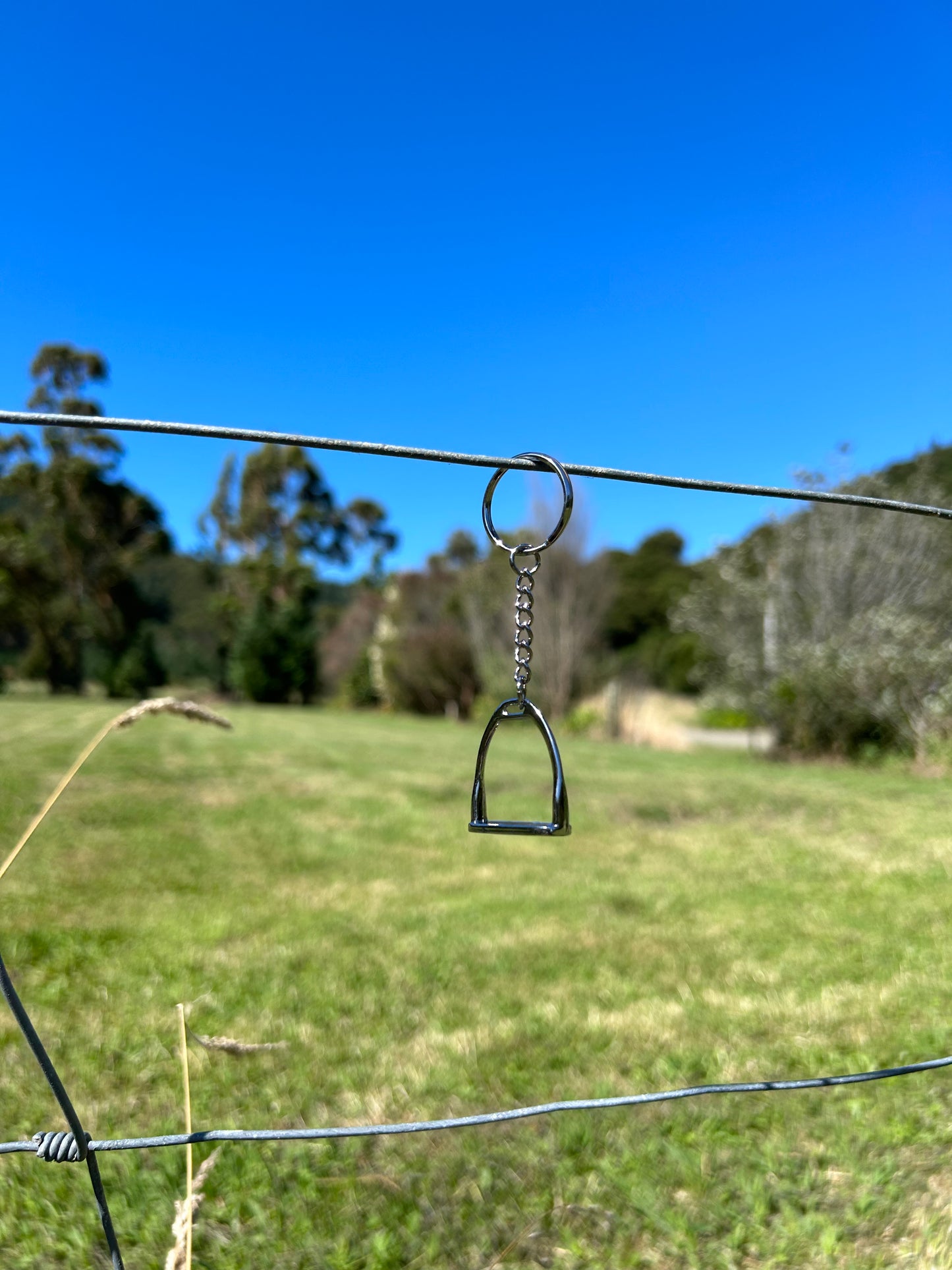 Country Phase Stirrup Keyring