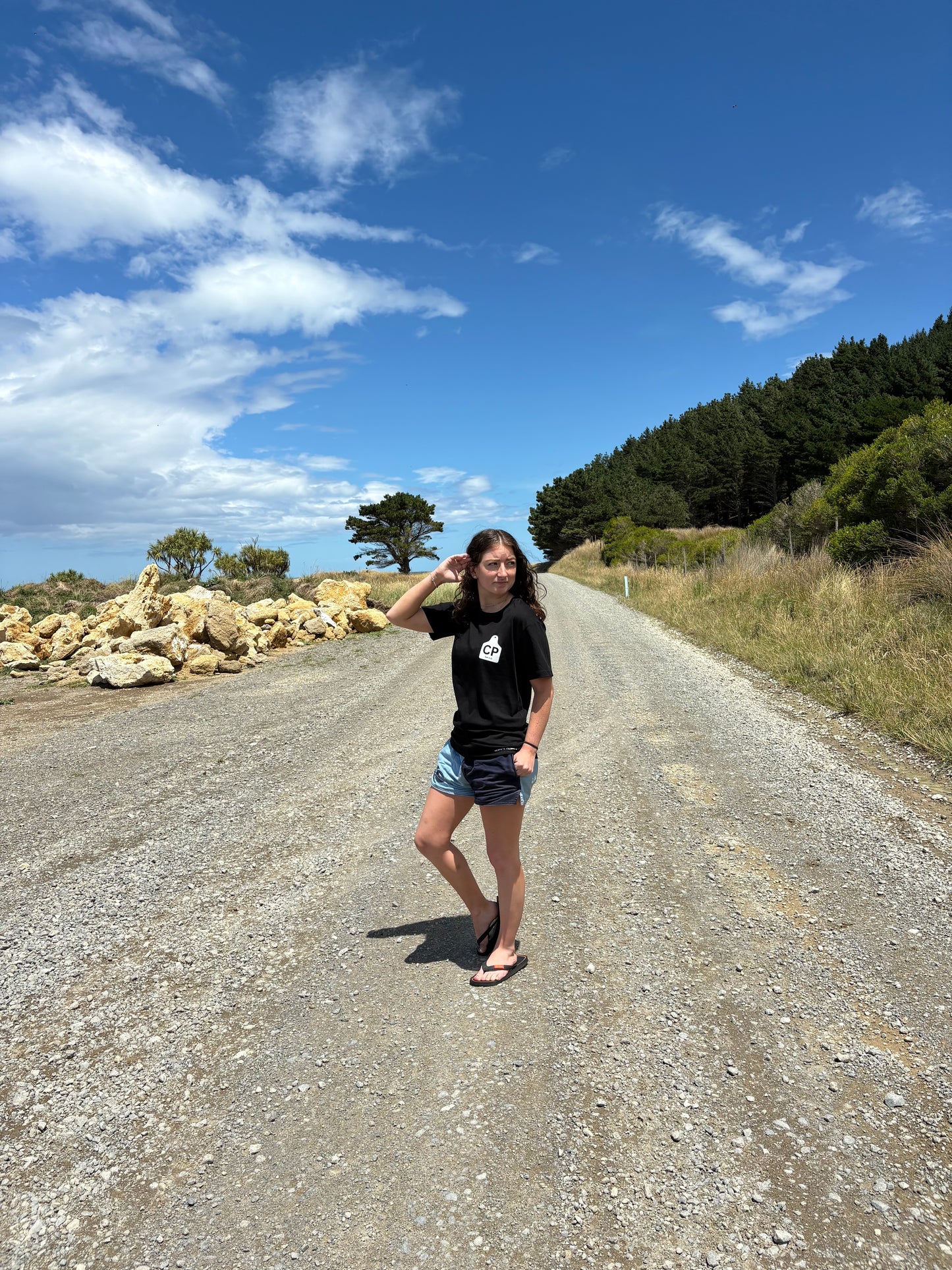 Country Phase Cattle Tag Tee