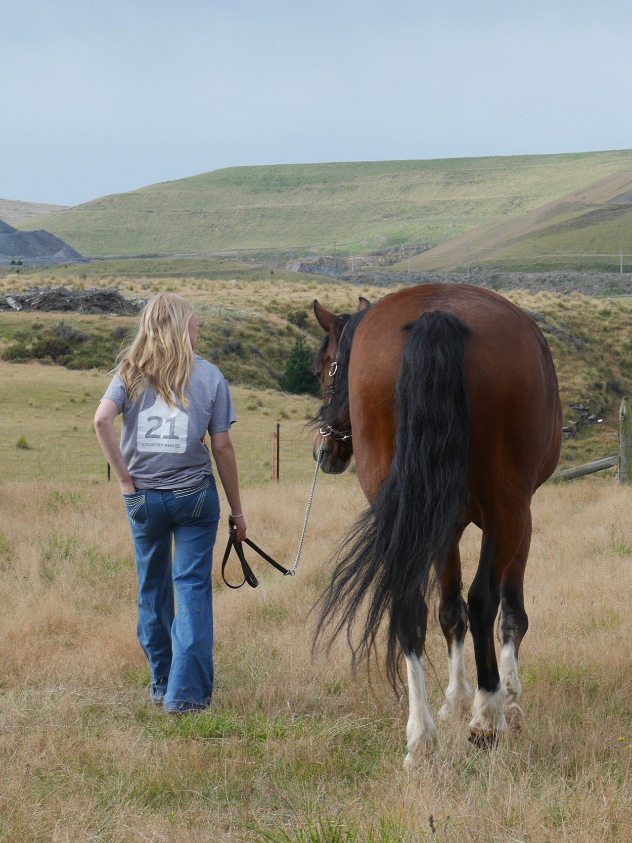 Country Phase Cattle Tag Tee