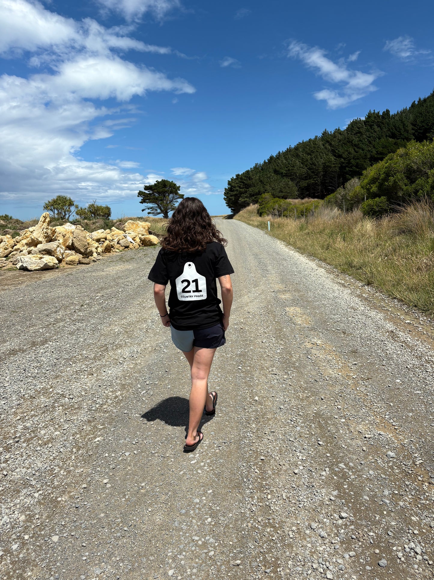 Country Phase Cattle Tag Tee